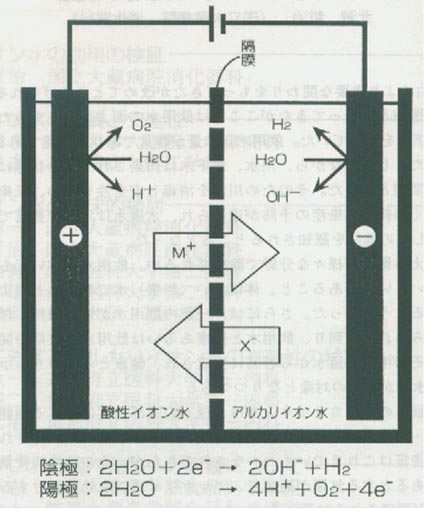 图１．电解槽模式图及反应系统